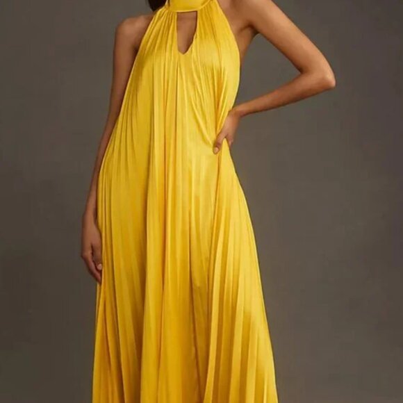 Hutch Halter Pleated Maxi Dress from Anthropologie - Picture 1 of 3